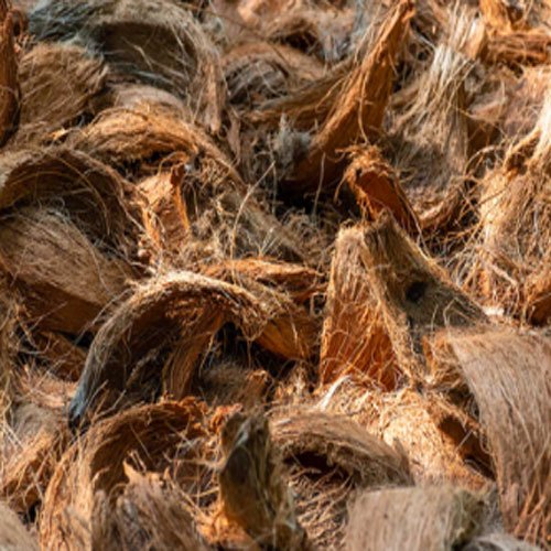 Coconut Husk