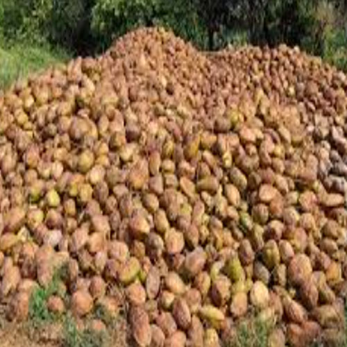 Kasangal Coconut In Germany