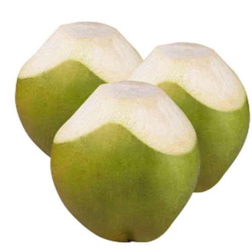 Tender Coconut  In US